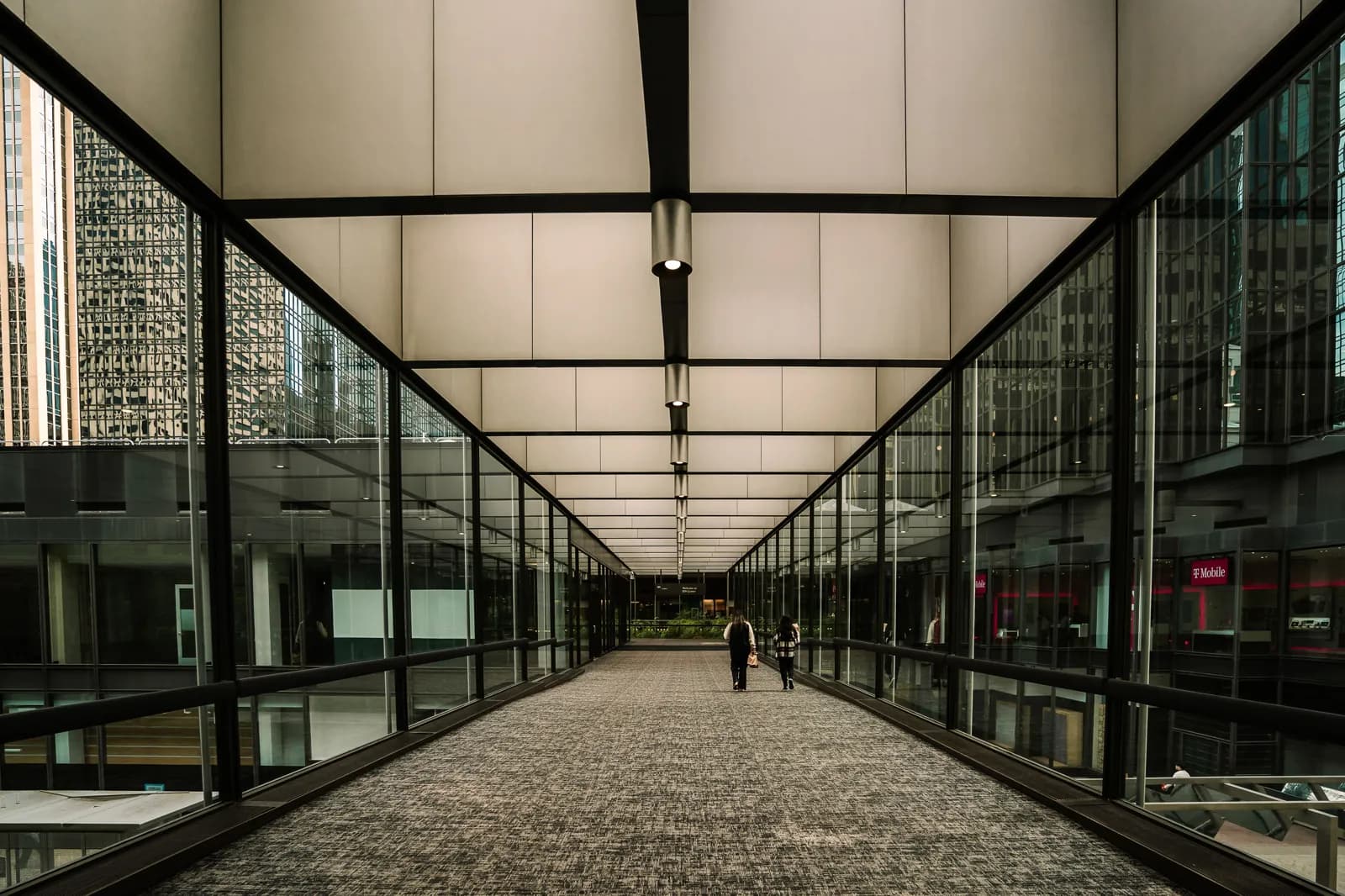 AI Meeting Assistants Compared: How to Choose the Right One in 2026 - Aviy AI invoicing